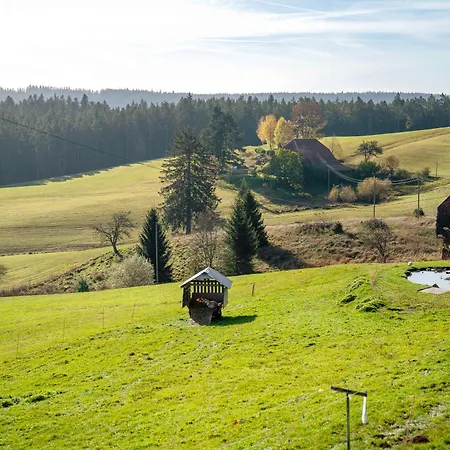 Kraehrbauernhof Mit Hofladen Hornberg
